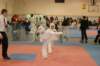 _f_tkd_23_small.jpg