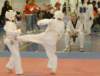 _f_tkd_25a_small.jpg