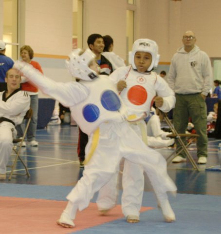 _f_tkd_33a.jpg