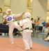 _f_tkd_36a_small.jpg