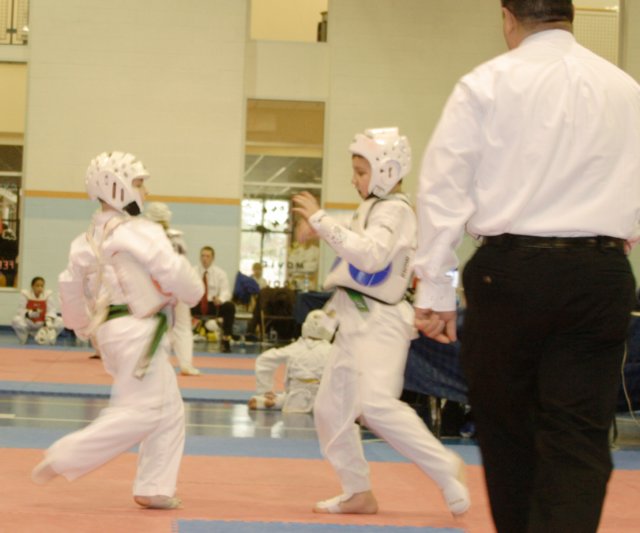 _f_tkd_37a.jpg