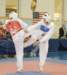 _f_tkd_47a_small.jpg