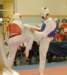 _f_tkd_48a_small.jpg