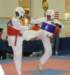 _f_tkd_64a_small.jpg