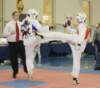 _f_tkd_65a_small.jpg