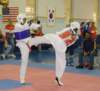 _f_tkd_66a_small.jpg