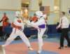 _f_tkd_68a_small.jpg