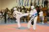 _f_tkd_81_small.jpg