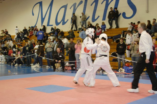 _f_tkd_86.jpg