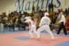 _f_tkd_87_small.jpg